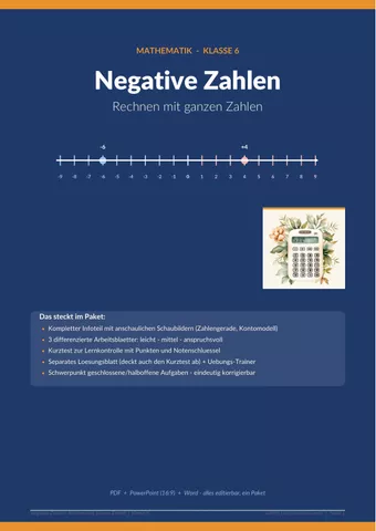 Cover: Negative Zahlen