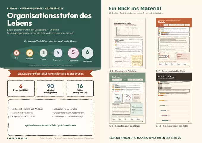 Cover: Organisationsstufen des Lebens