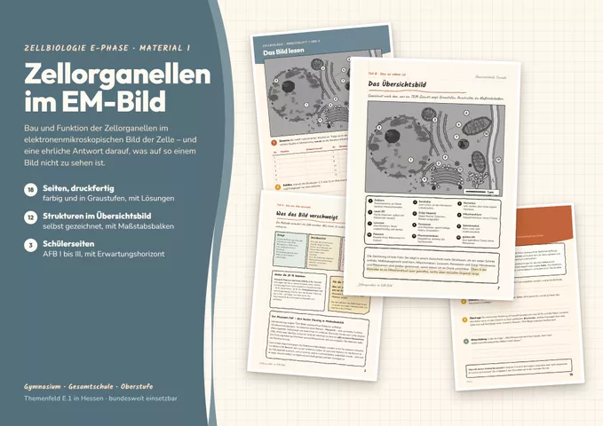 Cover: Zellorganellen im EM-Bild (Zellbiologie in der E-Phase)