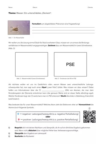 Cover: Wasserläufer - Oberflächenspannung